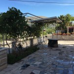 15086835_1265712026782642_1098433612_n