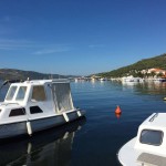 15128521_1265714566782388_662362463_n