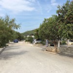 15134506_1265714693449042_1071137950_n