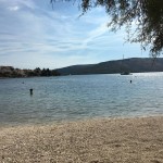 15139282_1265714793449032_795044579_n