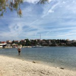 14971770_1265714496782395_1861854012_n